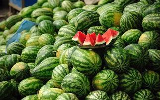 地府吃瓜大会,吃瓜大会揭秘幽冥界众生相