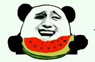 娱乐吃瓜酱防止智力退化